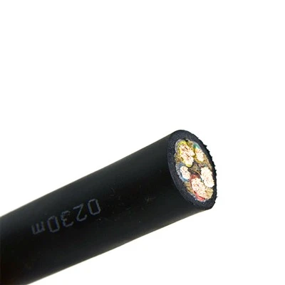 Hoist Pendant Cable